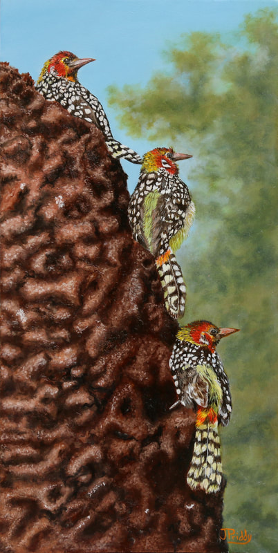 Oil Painting by Jan Priddy, Wildlife Artist