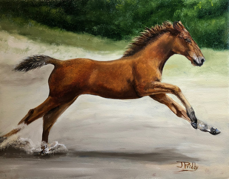 Wild Horse Adventure Tours - Wild Horses - Oil Painting by Jan Priddy, Wildlife Artist