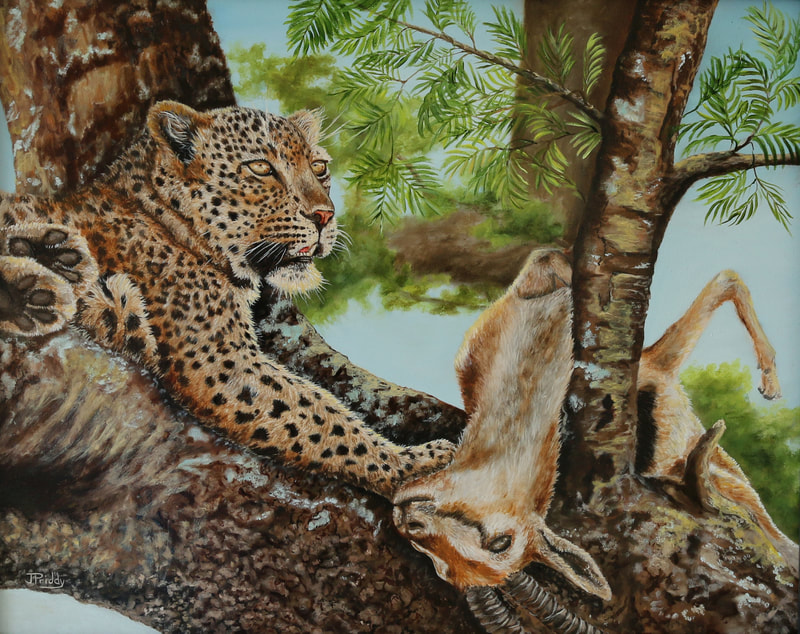 Leopard in a tree in Africa, Oil Painting by Jan Priddy, Award Winning Widlife Artist