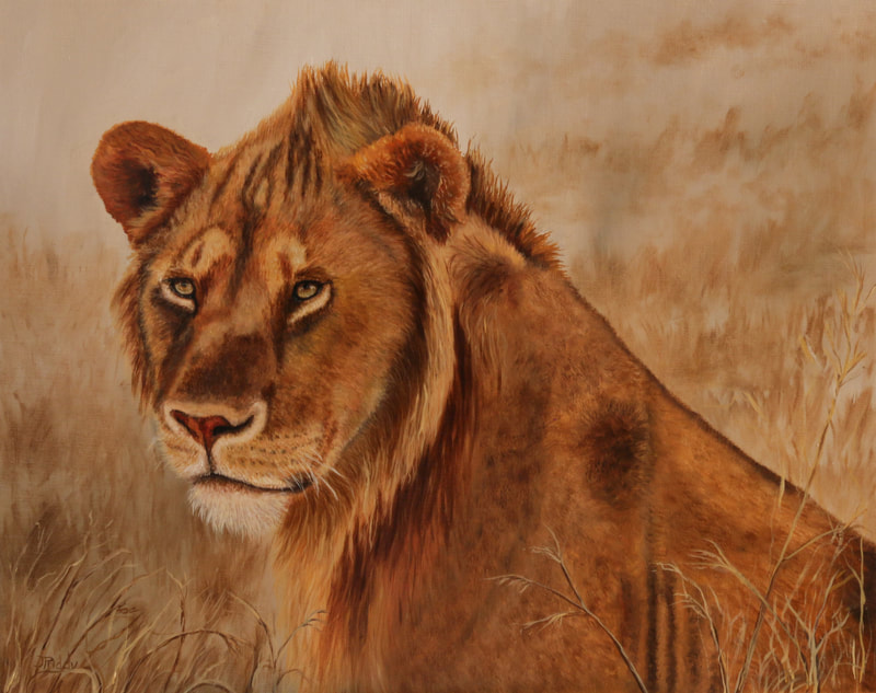 African Lion, Oil Painting by Jan Priddy
